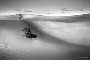 Mesquite Dunes-9829
